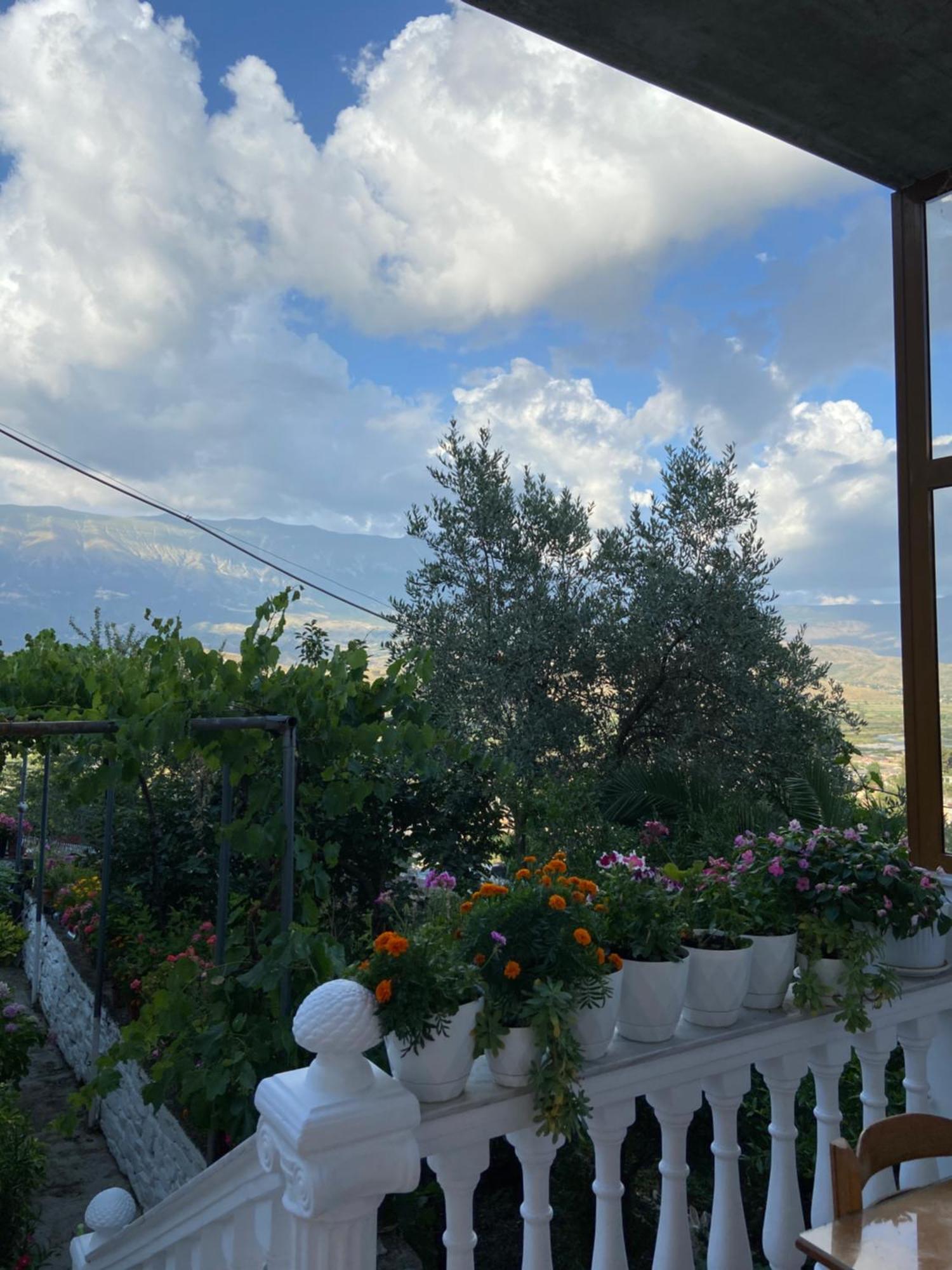 Stonetale Garden Guesthouse Gjirokastër Extérieur photo
